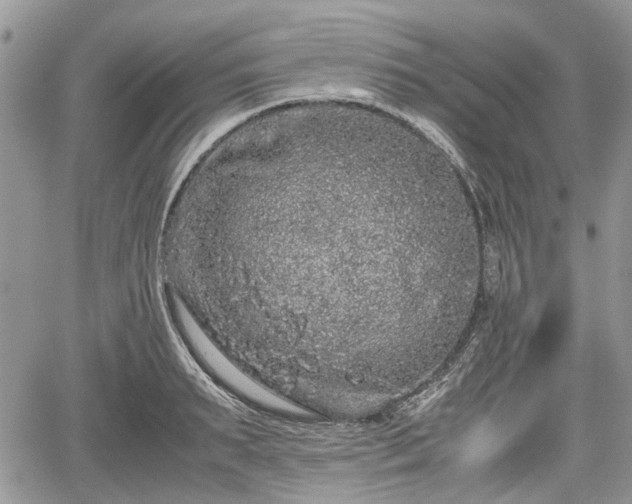 X0000067870895200604171221