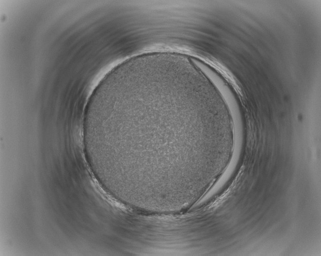 X0000067870896200604171221