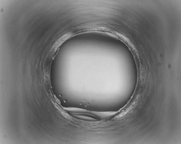 X0000067870897200604171221