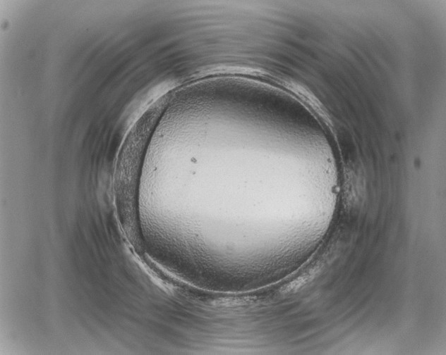 X0000067870898200604171221