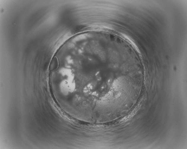 X0000067870899200604171221