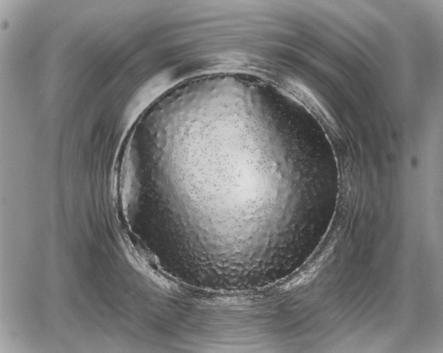 X0000067870900200604171221