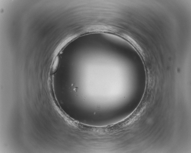 X0000067870901200604171221