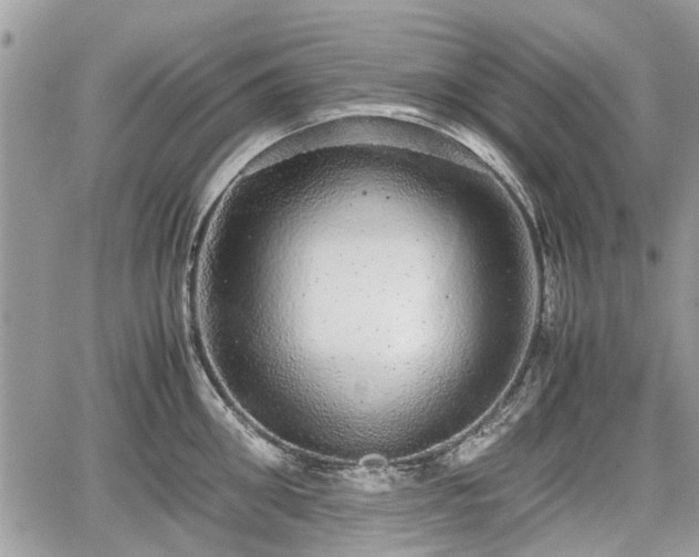 X0000067870906200604171221