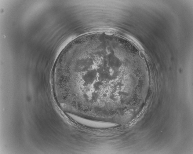 X0000067870907200604171221