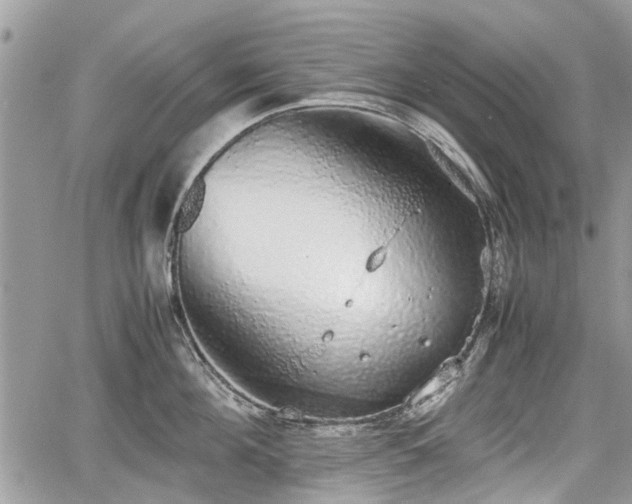 X0000067870908200604171221