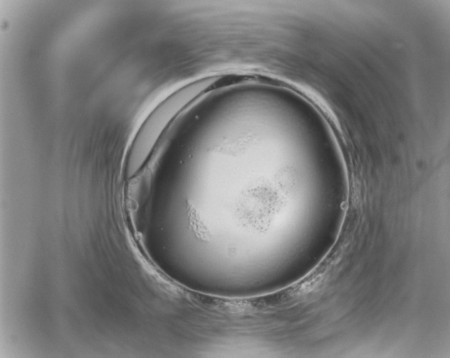 X0000067870911200604171221