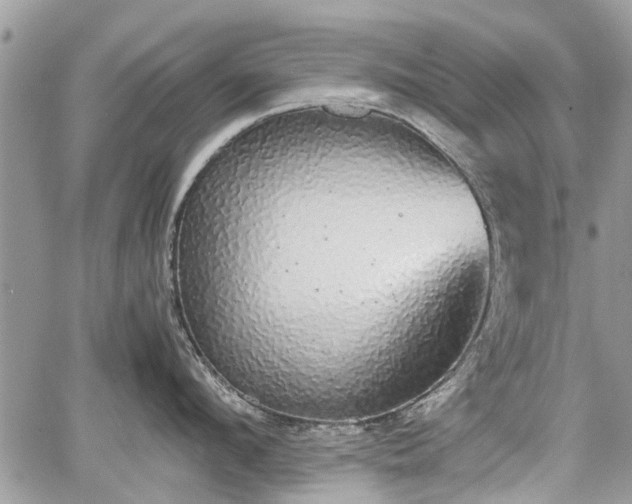 X0000067870912200604171221