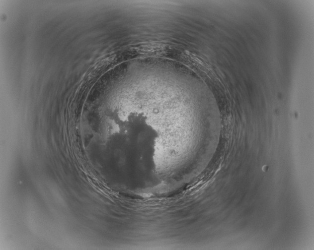 X0000067870913200604171220