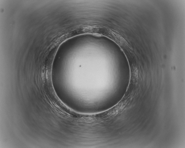 X0000067870914200604171220