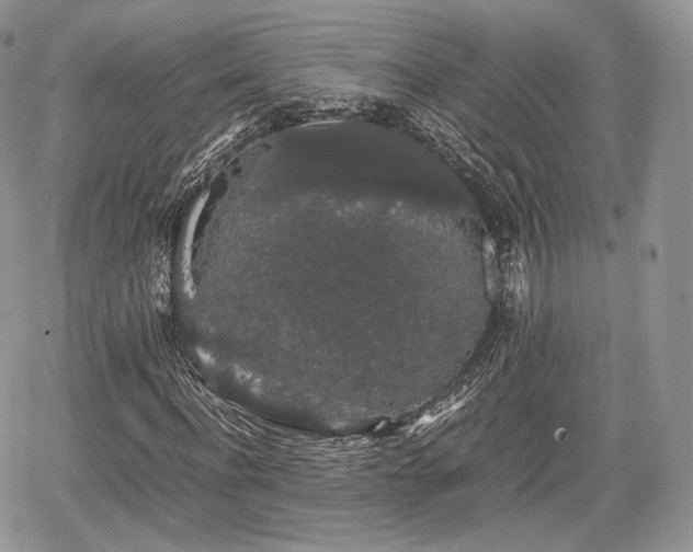 X0000067870916200604171220