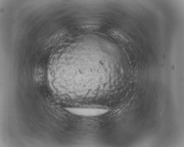 X0000067870917200604171220