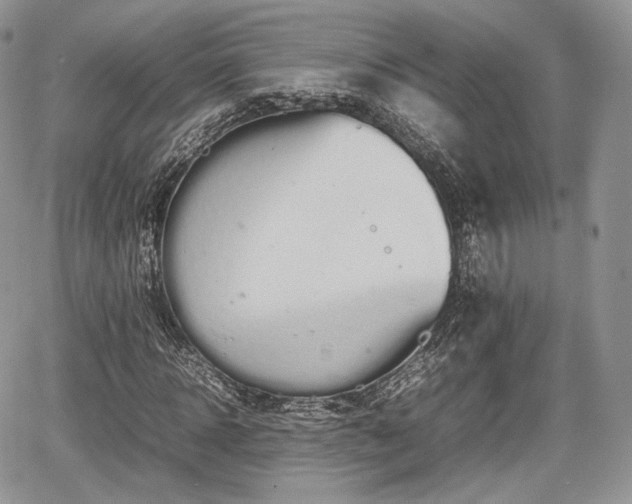 X0000067870918200604171220