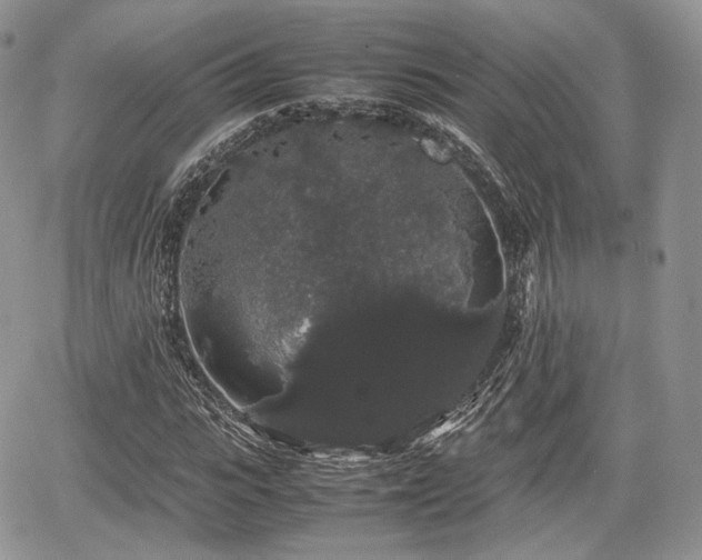 X0000067870919200604171220