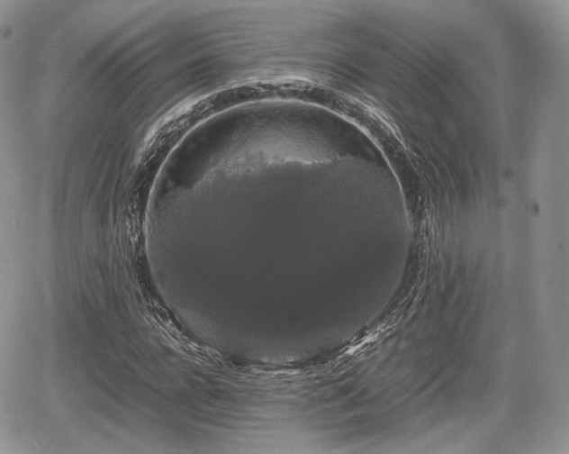 X0000067870920200604171220