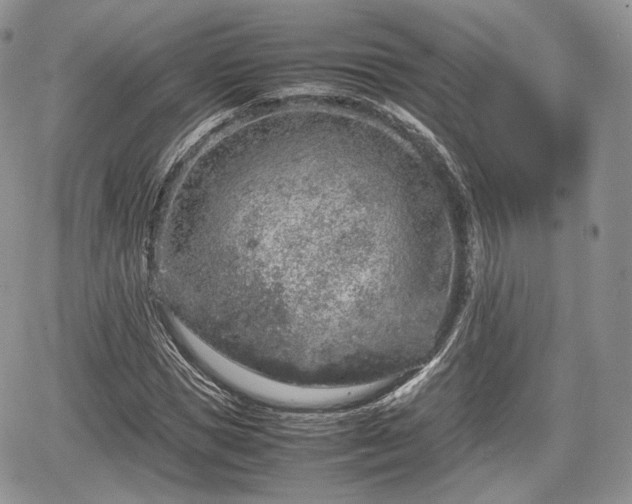 X0000067870921200604171220