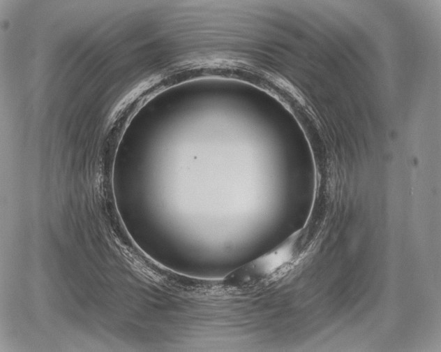 X0000067870922200604171220