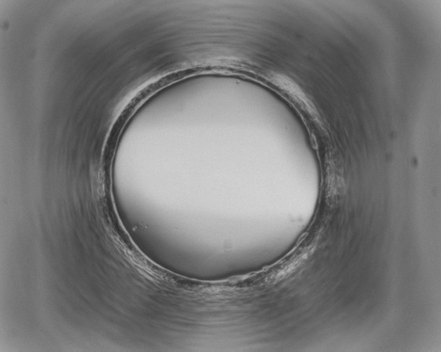 X0000067870924200604171220