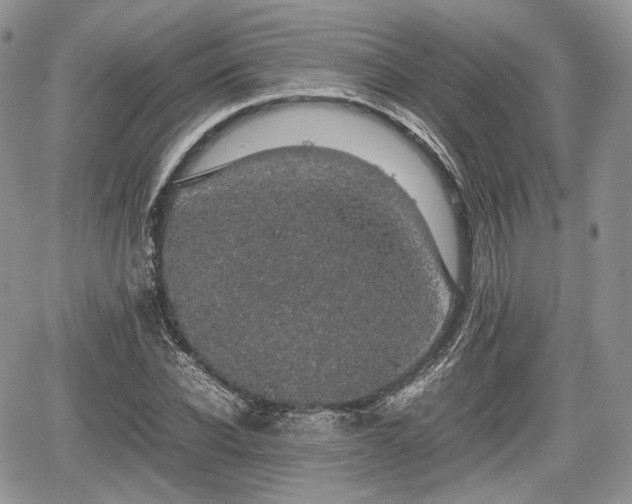 X0000067870926200604171220