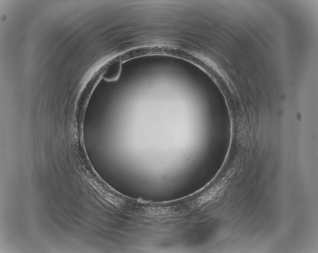 X0000067870927200604171220