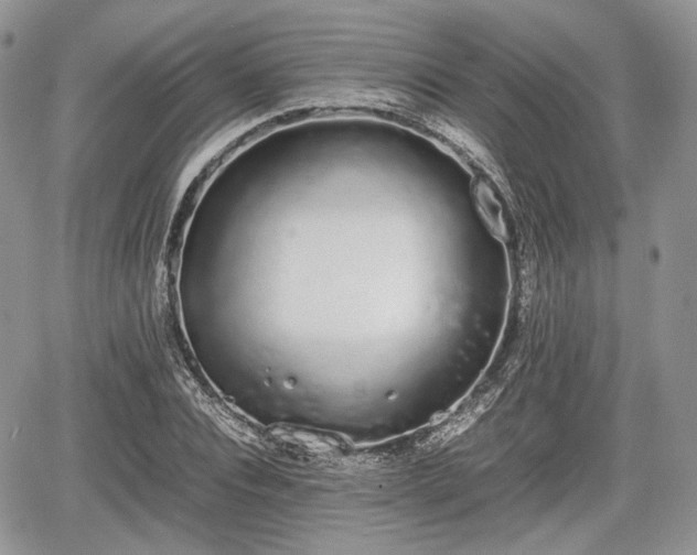 X0000067870928200604171220