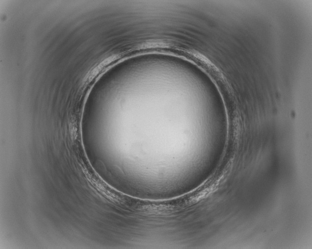 X0000067870929200604171220