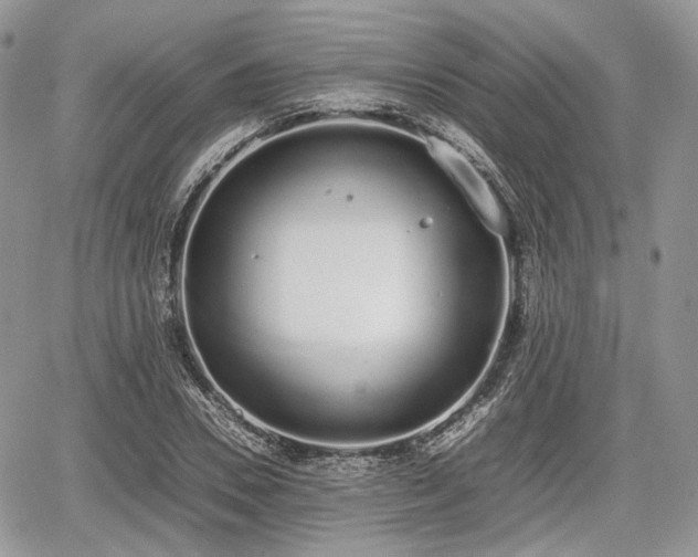 X0000067870930200604171220