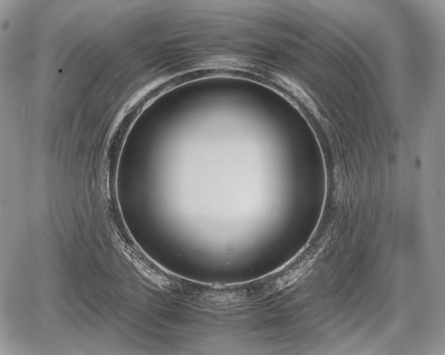 X0000067870931200604171220