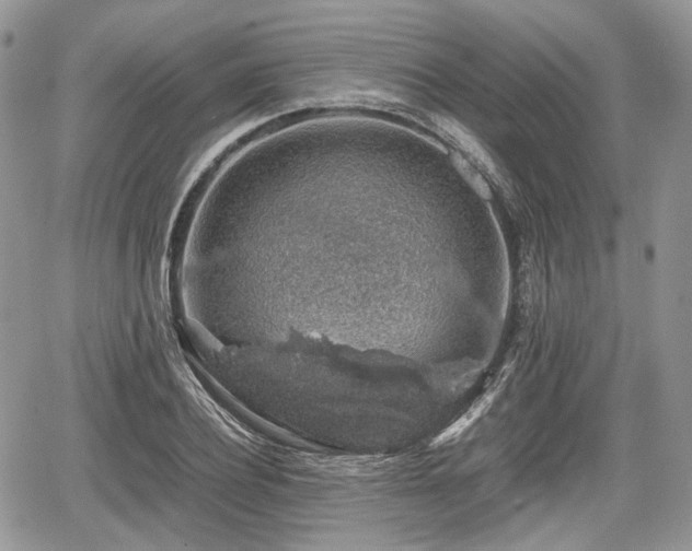 X0000067870932200604171220