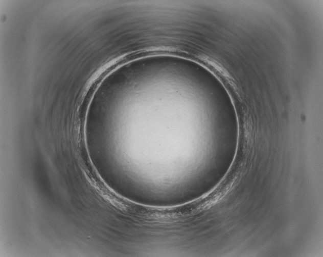 X0000067870933200604171220