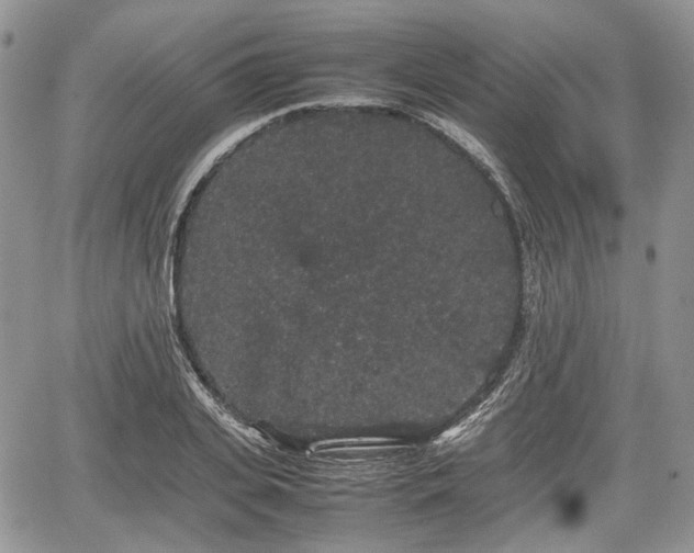 X0000067870935200604171220