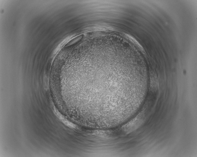 X0000067870938200604171220