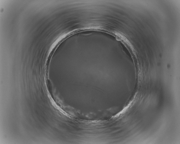 X0000067870941200604171220