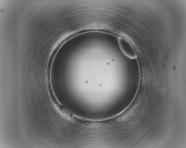 X0000067870942200604171220