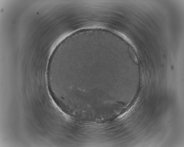 X0000067870943200604171220