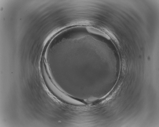 X0000067870944200604171221