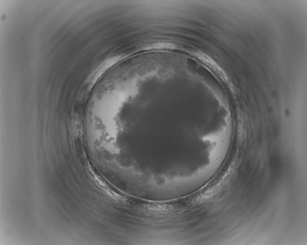 X0000067870945200604171221