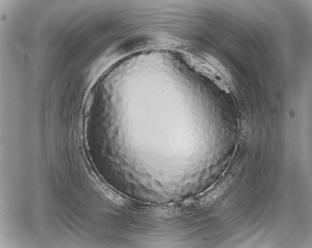 X0000067870948200604171221