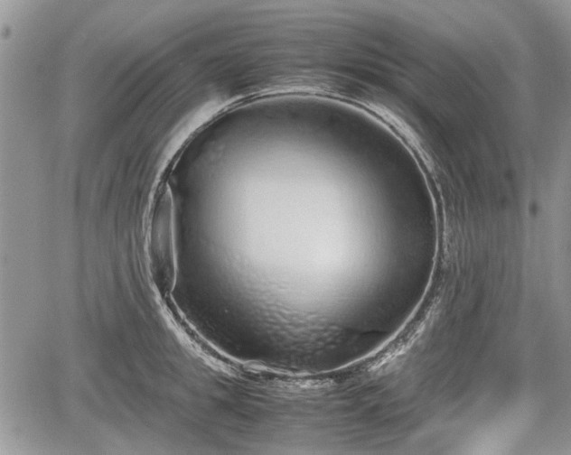 X0000067870949200604171221