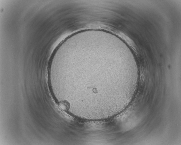 X0000067870950200604171221