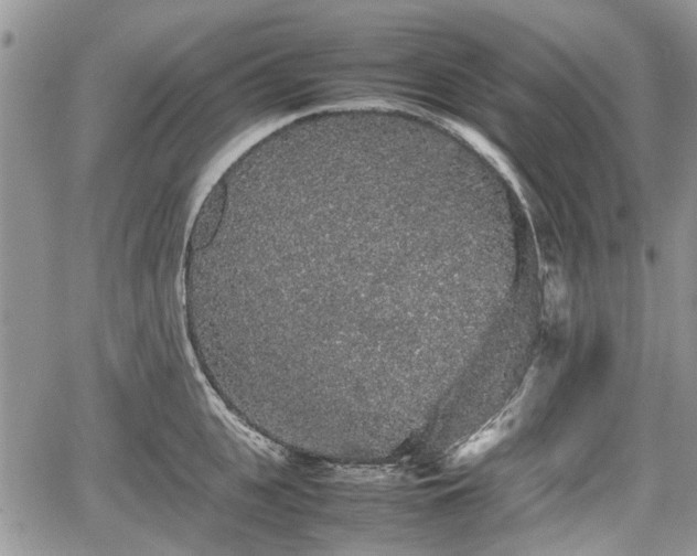 X0000067870951200604171221