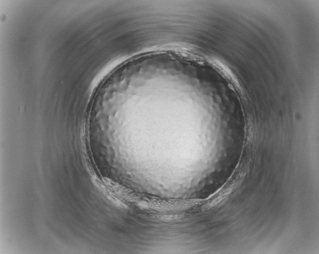 X0000067870952200604171221