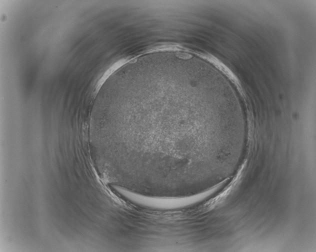 X0000067870953200604171221