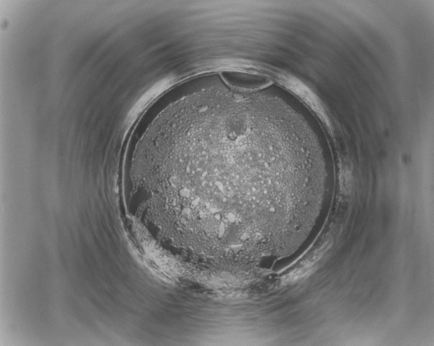 X0000067870954200604171221