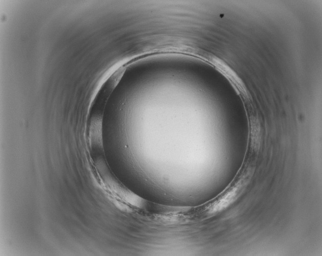 X0000067870956200604171221