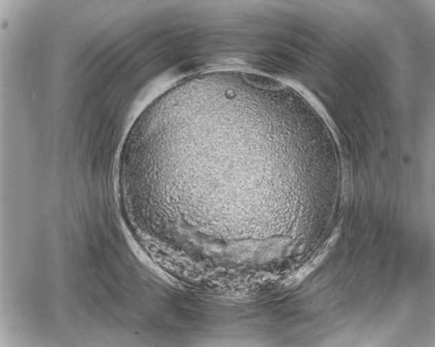 X0000067870957200604171221