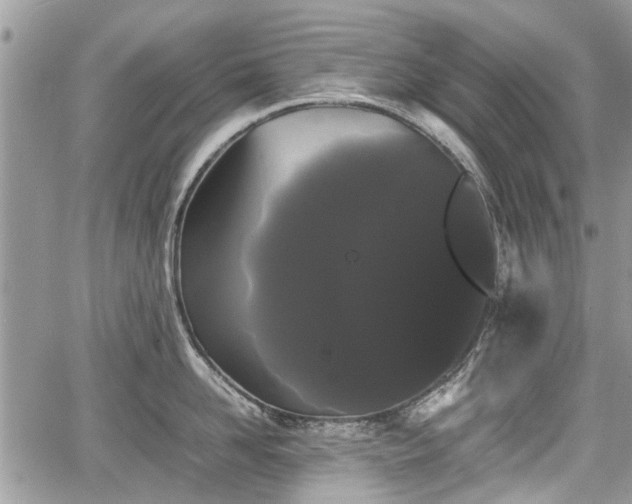 X0000067870958200604171221