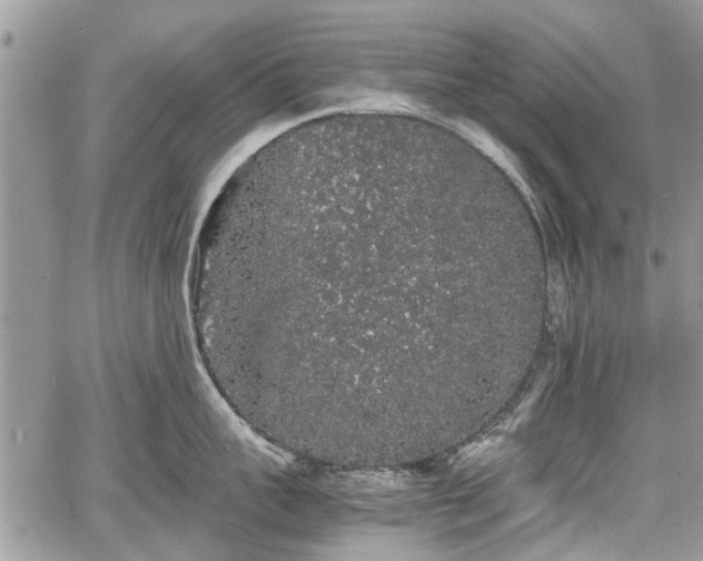 X0000067870959200604171221