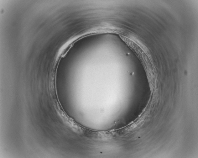 X0000067870960200604171221