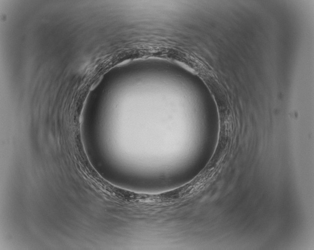 X0000067870961200604171220